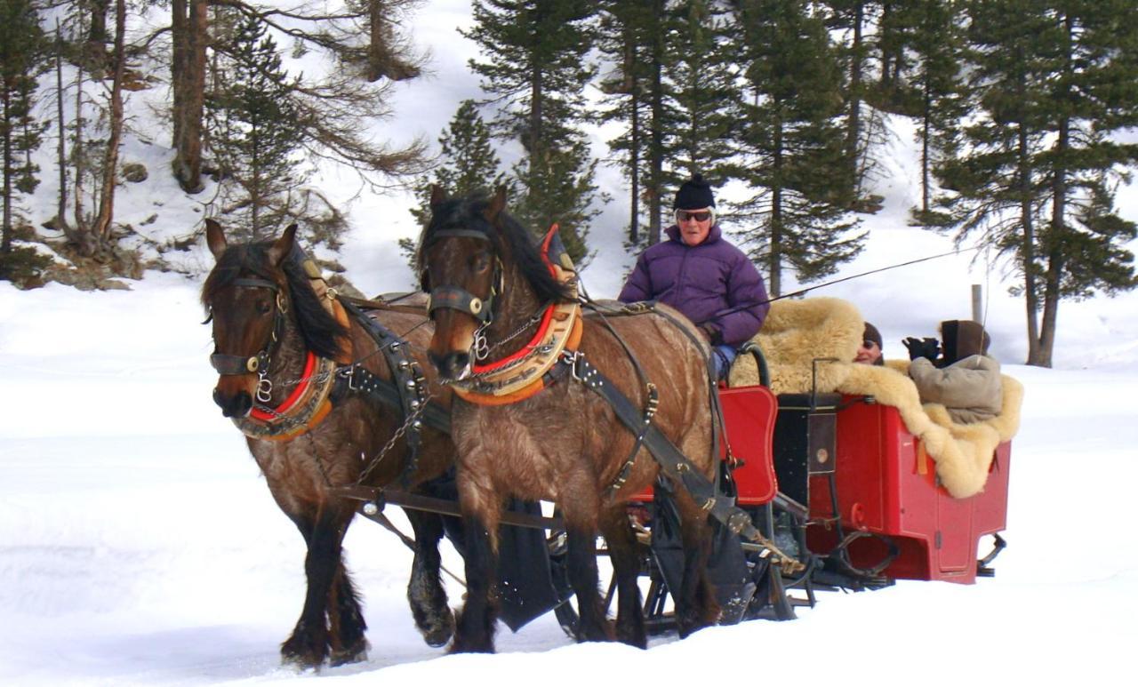 Hotel Roseg-Gletscher Pontresina Kültér fotó