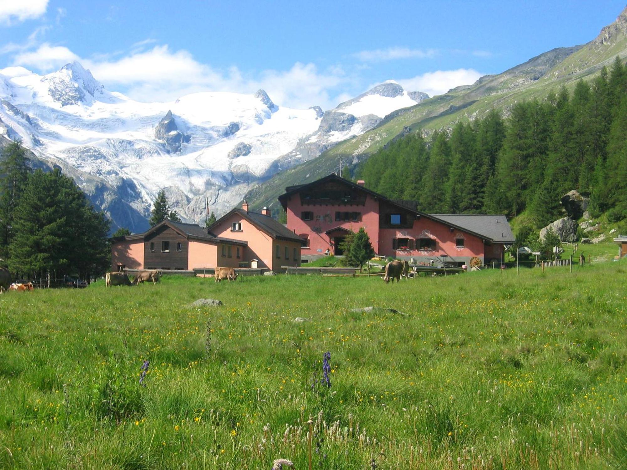 Hotel Roseg-Gletscher Pontresina Szoba fotó