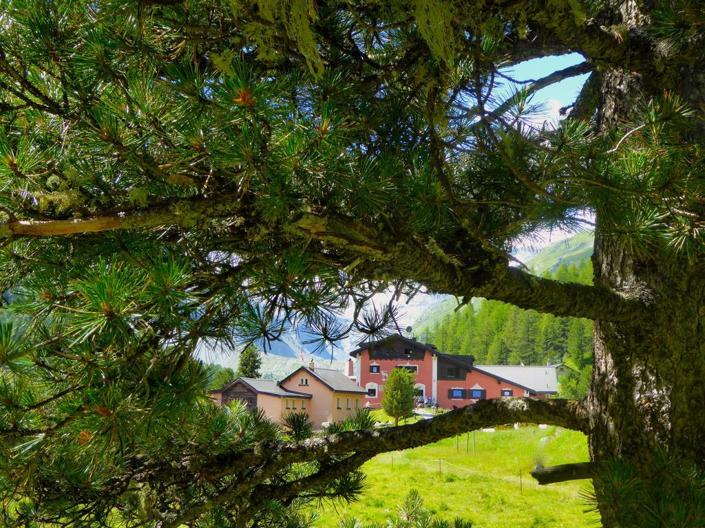 Hotel Roseg-Gletscher Pontresina Kültér fotó