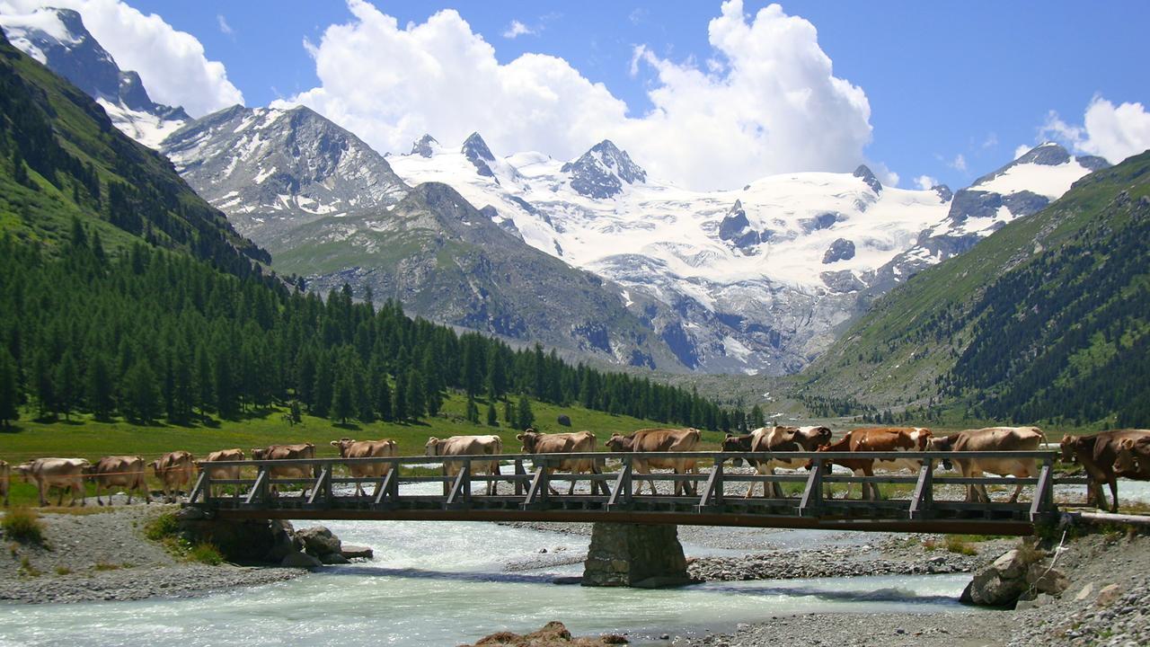Hotel Roseg-Gletscher Pontresina Kültér fotó